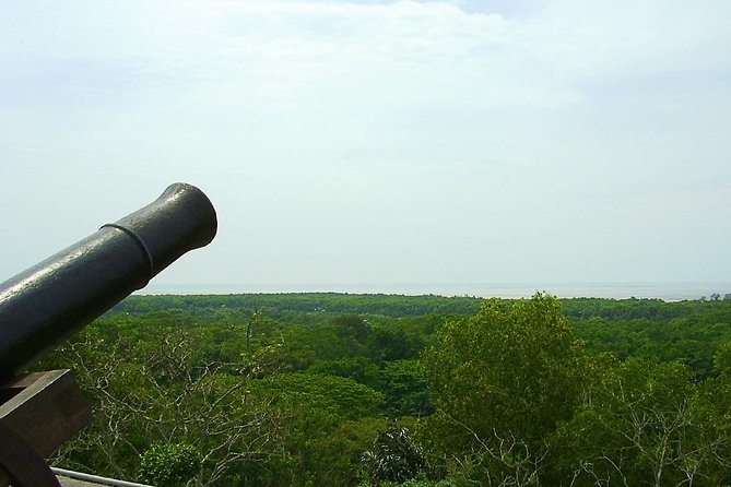 Fireflies and Kuala Selangor Tour Including Dinner - Bukit Melawati, an old fort with silver leaf monkeys