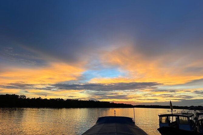 Fireflies & Silver leaf monkey Gazing tour - The hour-long ride to the firefly park