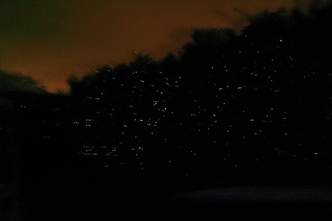 Fireflies & Silver leaf monkey Gazing tour - Price, timing, and what the $57.27 includes