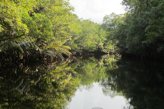 Fireflies Tour in Cherating - Key points to know before you book