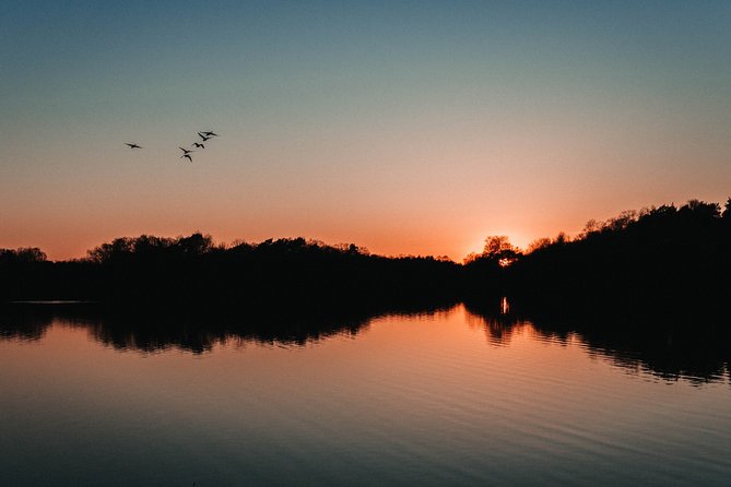 Fireflies Tour in Cherating - Why Cherating’s fireflies are worth an evening