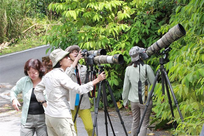 Fraser's Hill Bird-Watching & Nature Sightseeing Tour from Kuala Lumpur - Why Fraser’s Hill makes a good escape from Kuala Lumpur