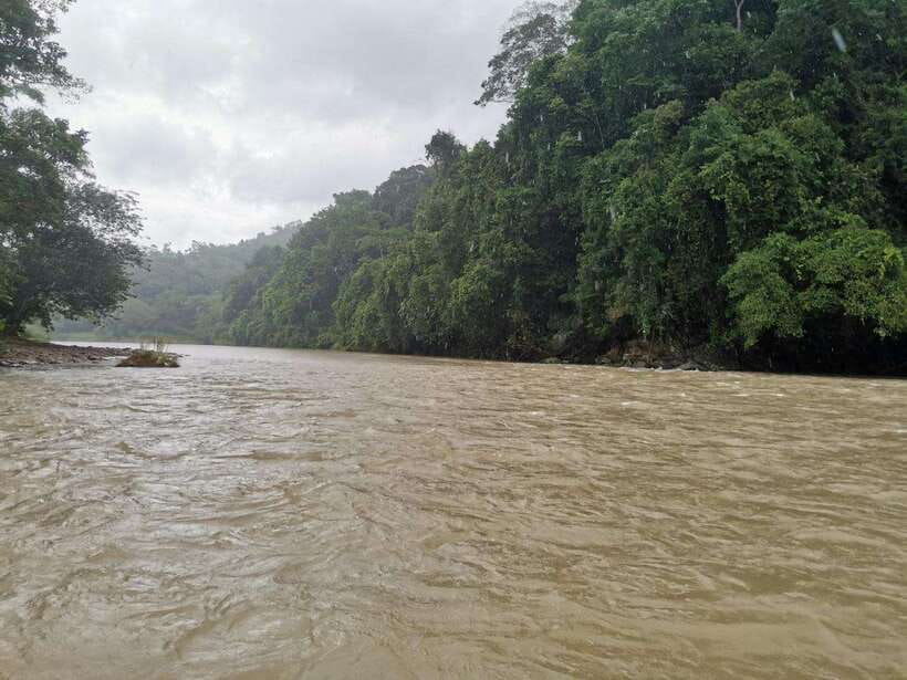 From Kota Kinabalu : Kiulu White Water Rafting Tour + meal - Rest stops, swimming, and the optional river drop