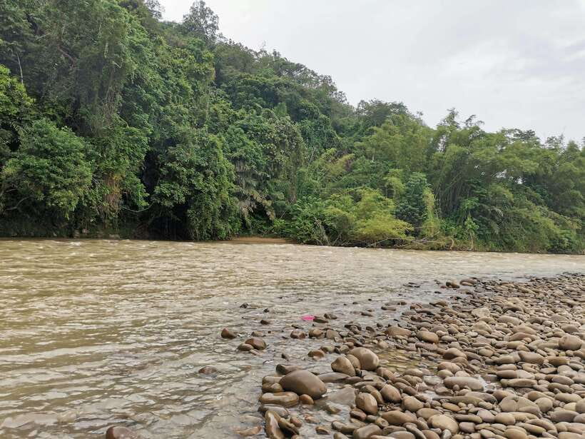From Kota Kinabalu : Kiulu White Water Rafting Tour + meal - River scenery and village views along the route
