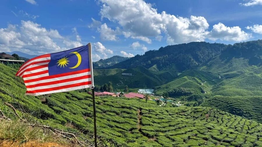 From Kuala Lumpur: Cameron Highlands Day Tour with Lunch - Lunch with Malaysian Flavors and Mountain Views
