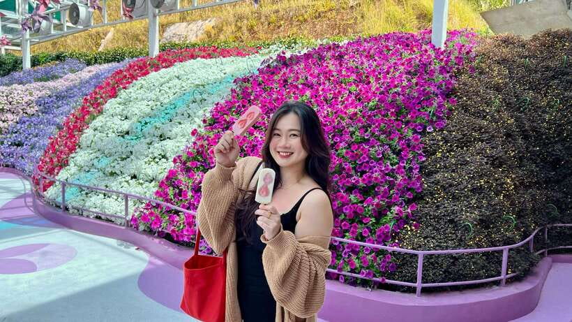 From Kuala Lumpur: Cameron Highlands Day Tour with Lunch - Shared or Private: Which Option Gives Better Value?