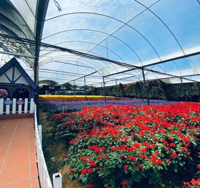 From Kuala Lumpur: Cameron Highlands Day Trip with Transfers - Lunch at the Boh centre