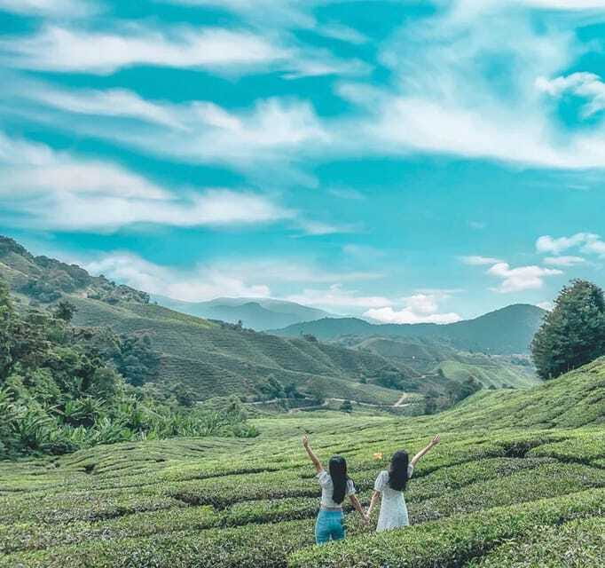 From Kuala Lumpur: Cameron Highlands Day Trip with Transfers - The 2.5-hour ride from Kuala Lumpur