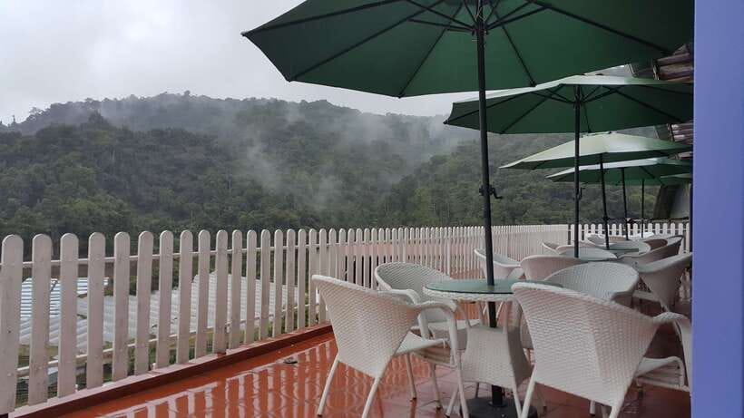 From Kuala Lumpur: Cameron Highlands Full-Day Tour - The Orang Asli visit adds cultural context