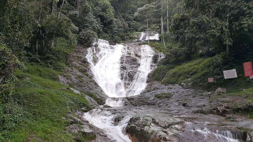From Kuala Lumpur: Cameron Highlands Full-Day Tour - Strawberry picking is fun, but budget for it