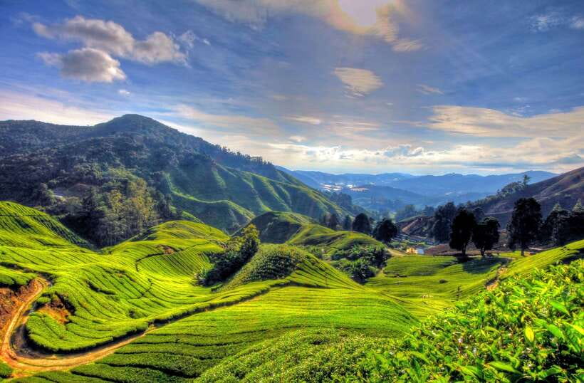 From Kuala Lumpur: Cameron Highlands Full-Day Tour - Lata Iskandar Waterfall sets the tone
