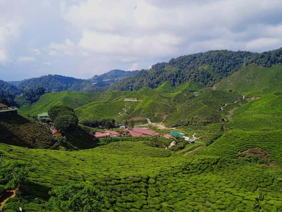 From Kuala Lumpur: Cameron Highlands Private or Join In Tour - Key points to know before you book