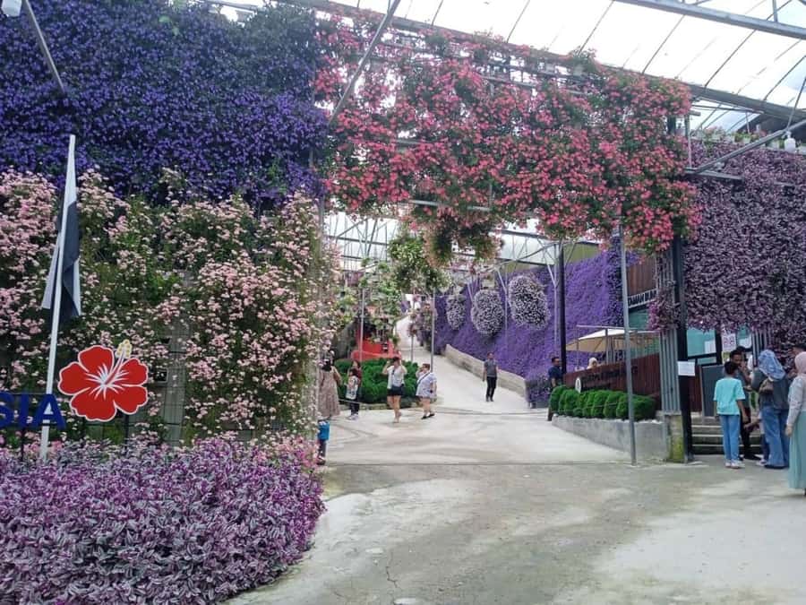 From Kuala Lumpur: Cameron Highlands Private or Join In Tour - Why leave Kuala Lumpur for Cameron Highlands?
