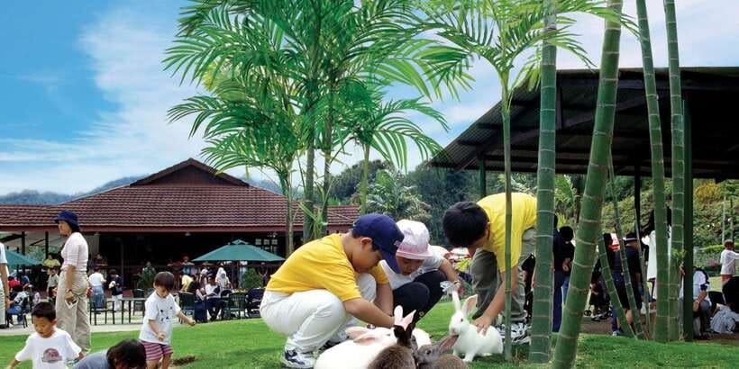 From Kuala Lumpur: Colmar Tropicale and Batu Caves Day Trip - Japanese Village and Botanical Garden