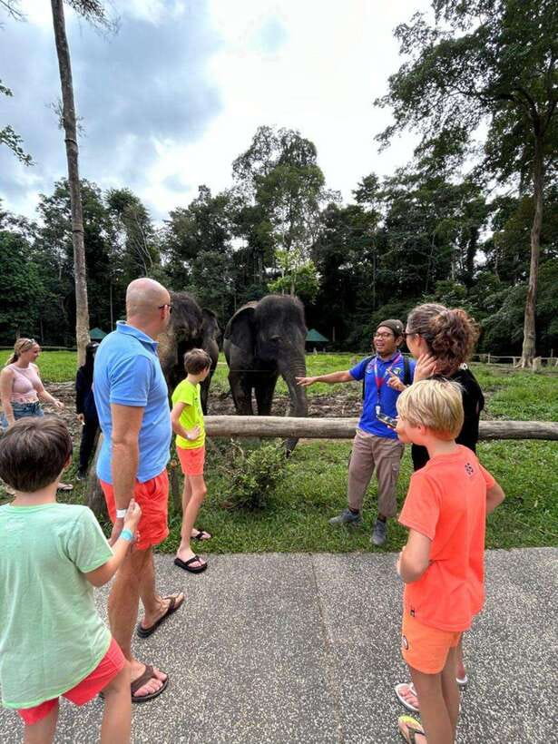 From Kuala Lumpur: Elephant Sanctuary Guided Tour - Meeting the rescued elephants at Kuala Gandah