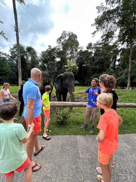 From Kuala Lumpur: Elephant Sanctuary Guided Tour - The guides can shape the entire day