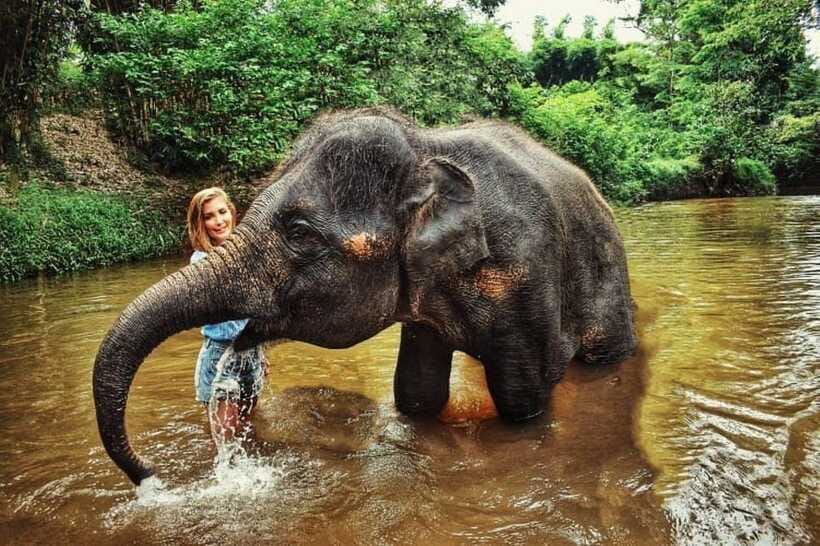 From Kuala Lumpur: Elephant Sanctuary Guided Tour - What to pack for this particular day