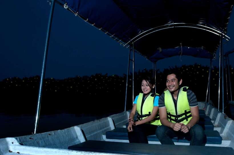 From Kuala Lumpur: Fireflies Tour and Seafood Dinner - Why Kuala Selangor makes a good evening escape