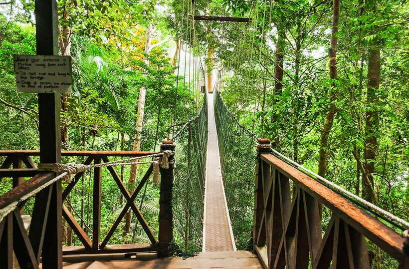 From Kuala Lumpur: Full-Day Taman Negara National Park - Leaving Kuala Lumpur at 6:00 in the morning