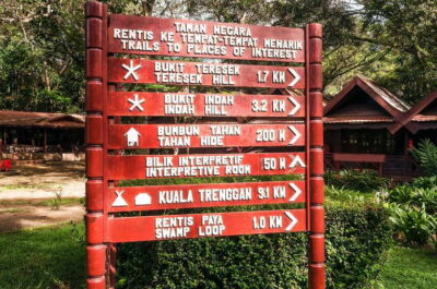 Full-Day Taman Negara National Park