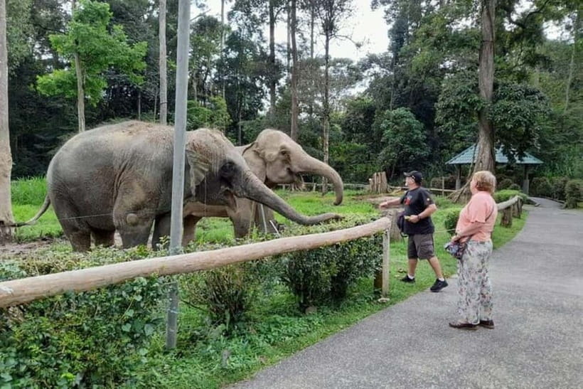 From Kuala Lumpur: Kuala Gandah & Batu Caves Day Trip - What the conservation message adds
