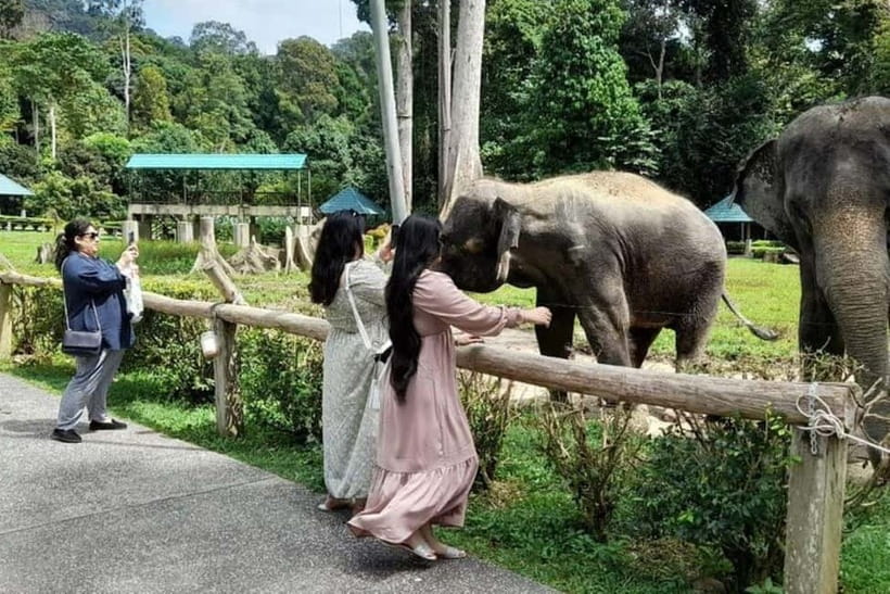 From Kuala Lumpur: Kuala Gandah & Batu Caves Day Trip - Starting at Batu Caves with one hour to explore