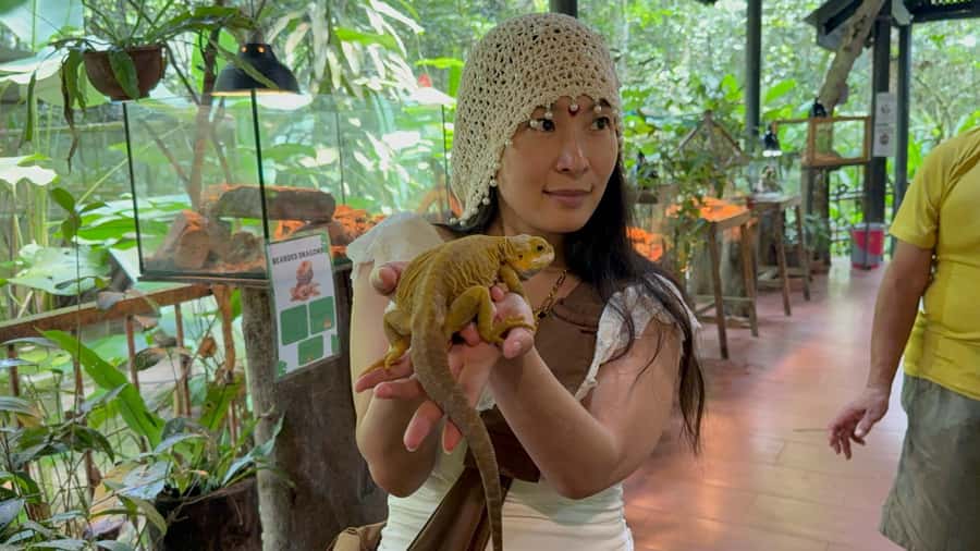 From Kuala Lumpur: Kuala Gandah Elephant Sanctuary Day Trip - Lunch is simple but useful