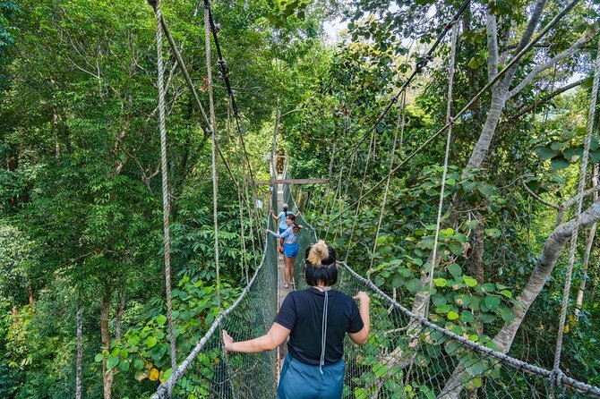 From Kuala Lumpur Taman Negara Day Trip With Lunch - Key Things to Know Before You Book