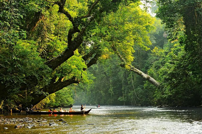 From Kuala Lumpur Taman Negara Day Trip With Lunch - Boat Travel, Rapid Shooting, and Getting Wet