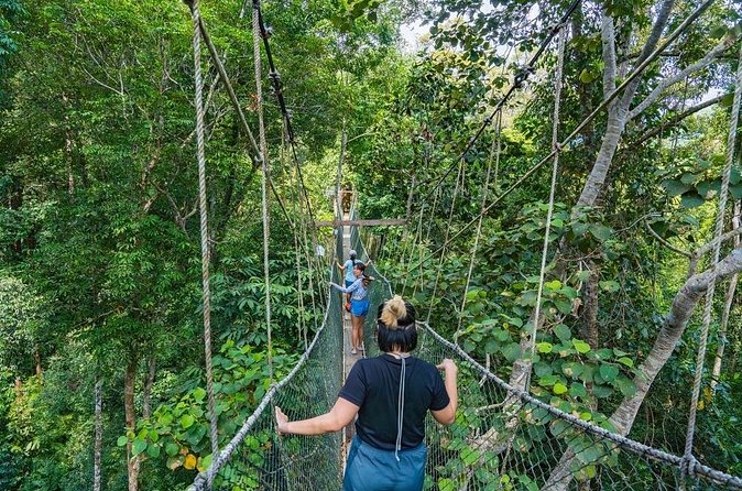 From Kuala Lumpur Taman Negara Day Trip With Lunch - Lunch and the Pace of the Day