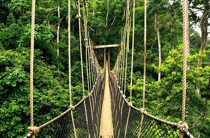 From Kuala Lumpur Taman Negara Day Trip With Lunch - What the Price Buys You