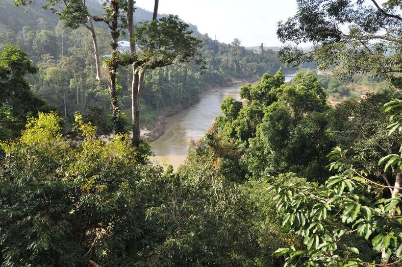 From Kuala Lumpur: Taman Negara National Park Trek Day Tour - What this Taman Negara day tour is really like