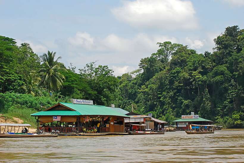 From Kuala Lumpur: Taman Negara National Park Trek Day Tour - Entering the rainforest at Kuala Tahan