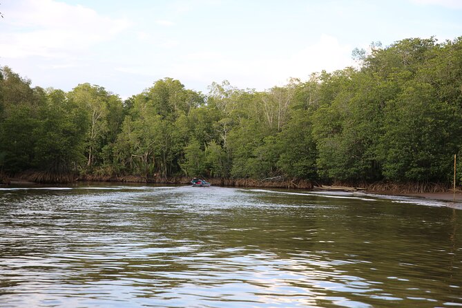 Full Day Bongawan River Cruise with Proboscis Monkey Sightseeing - Fireflies on Bongawan River after dark