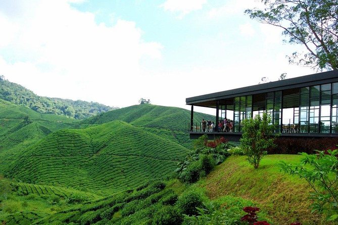 Full-day Cameron Highlands Day Trip from Kuala Lumpur - BOH Tea Plantation, the highlight of the day