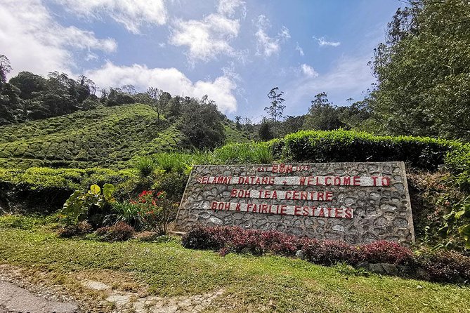 Full-day Cameron Highlands Day Trip from Kuala Lumpur - The private car, driver quality, and comfort