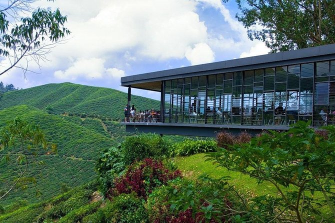 Full Day Cameron Highlands Nature Tour - The 7 a.m. pickup and the road uphill