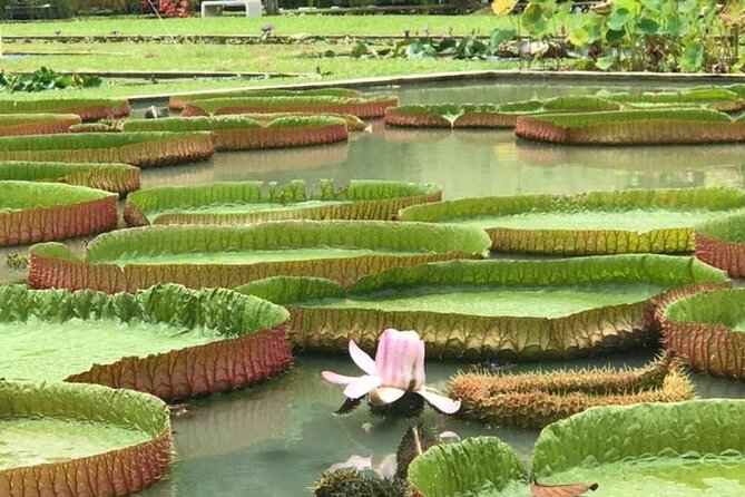 Full Day Flexi Private Tour in Penang Island with Pickup - George Town street art, Chew Jetty, and Khoo Kongsi