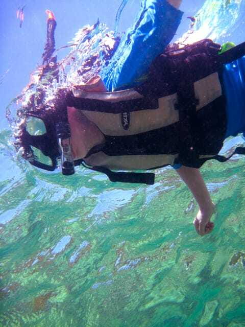 Full-Day Guided Snorkeling Tour from Kota Kinabalu - Three water sessions and what you may see