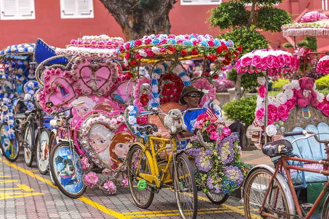 Full day in Malacca Historical Private Tour in Kuala Lumpur - The Guide Can Make or Break the Day