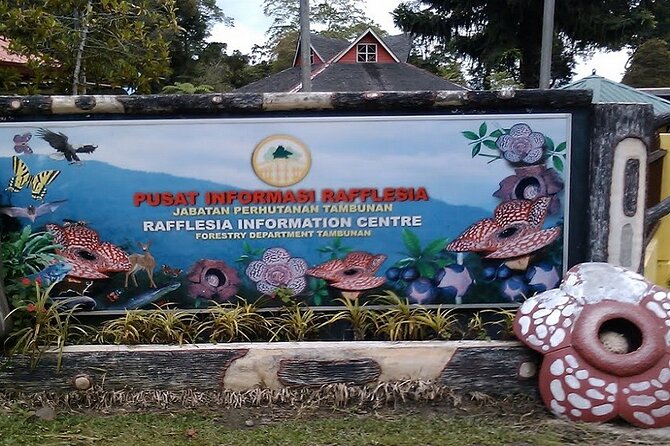 Full Day JomTour! Memorable Experience in Kota Kinabalu, Sabah - How the gamification feature fits the day
