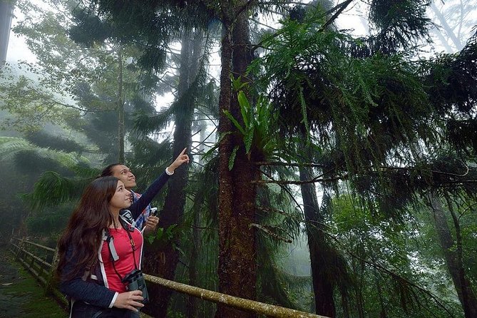 Full-Day Kinabalu Park and Poring Hot Spring Day Trip - Why this day trip makes sense from Kota Kinabalu