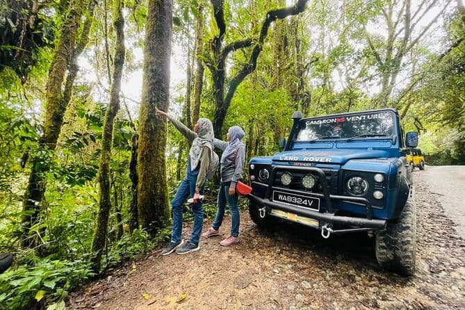 Full Day Mossy Forest Experience - Key things to know before booking