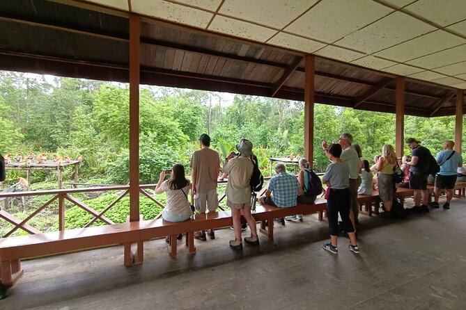 Full-Day Sepilok Orangutan and Proboscis Monkey from Sandakan or Kota Kinabalu - Lunch and the orangutan rehabilitation story