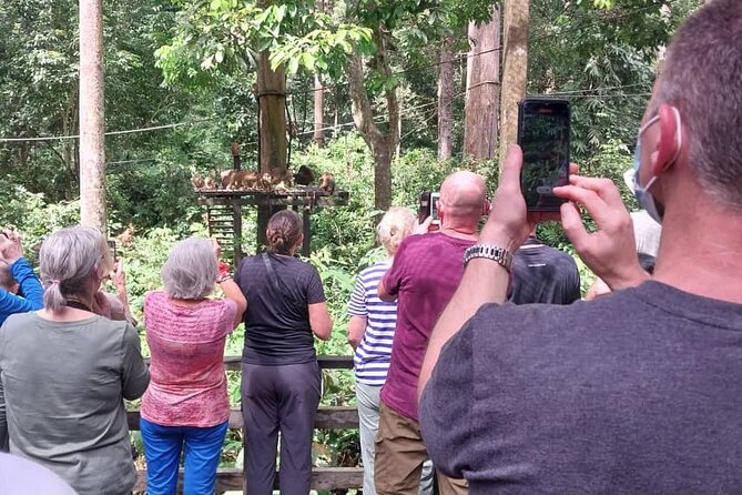 Full-Day Sepilok Orangutan and Sandakan City Trail from Kota Kinabalu - Sandakan’s churches, temples, and market
