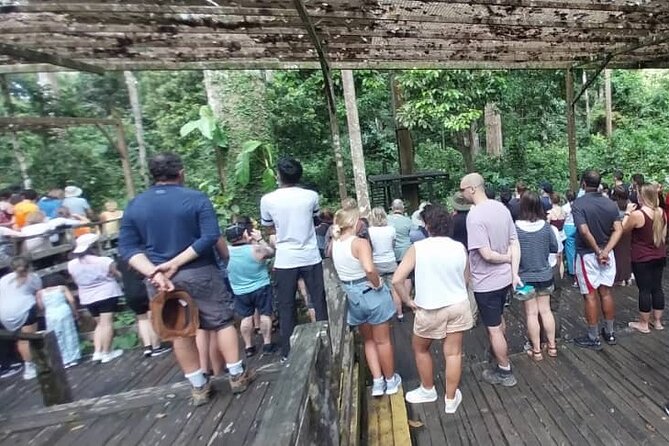 Full-Day Sepilok Orangutan and Sandakan City Trail from Kota Kinabalu - What the $131 price really buys you