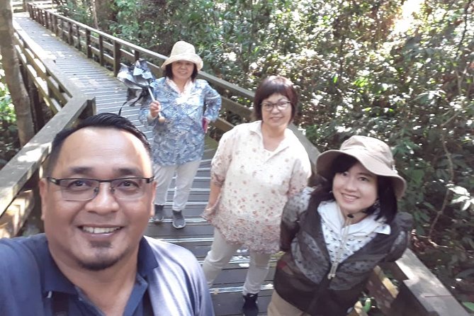 Full-Day Sepilok Orangutan and Sandakan City Trail from Kota Kinabalu - Feeding time and the rainforest walk