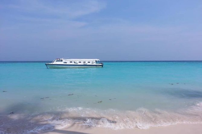 Full Day Tour in Mantanani - Why Mantanani is worth the long journey
