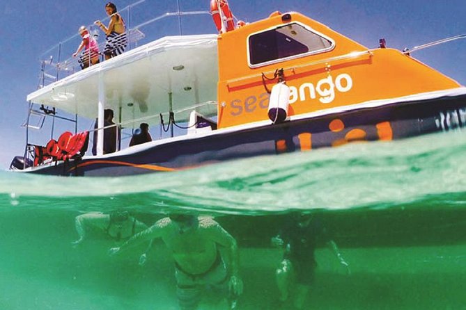 Fun Boat Snorkeling and Island Visit from Kota Kinabalu - The first 90-minute snorkeling stop