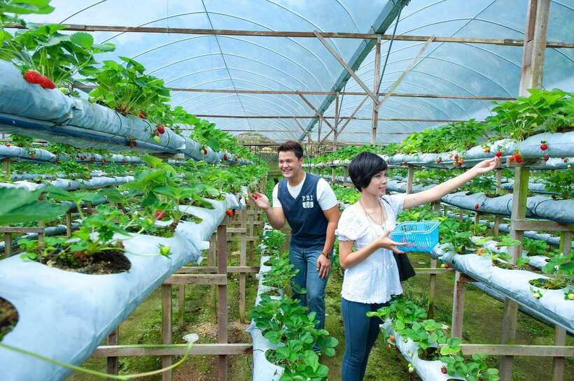 Genting Highland: Private Day Trip from Kuala Lumpur - What the $106 price really buys you